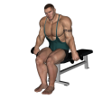 Reverse Curl - Seated Dumbbell Narrow Alternate